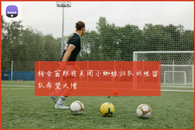 转会窗即将关闭小蜘蛛归队训练留队希望大增