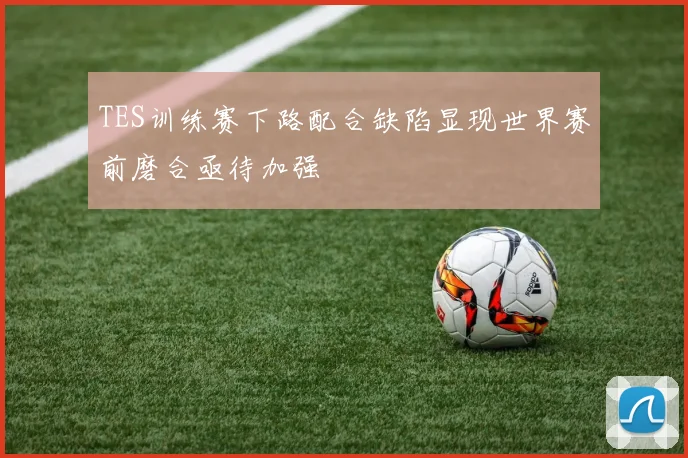 TES训练赛下路配合缺陷显现世界赛前磨合亟待加强