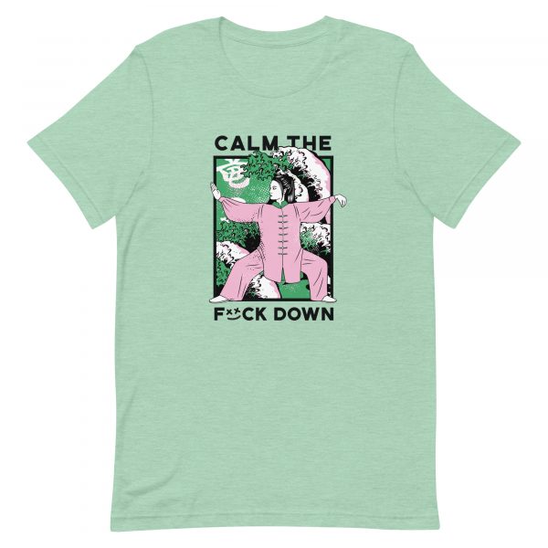 Shirt With Saying - unisex staple t shirt heather prism mint front 62c3e0f6cfd06